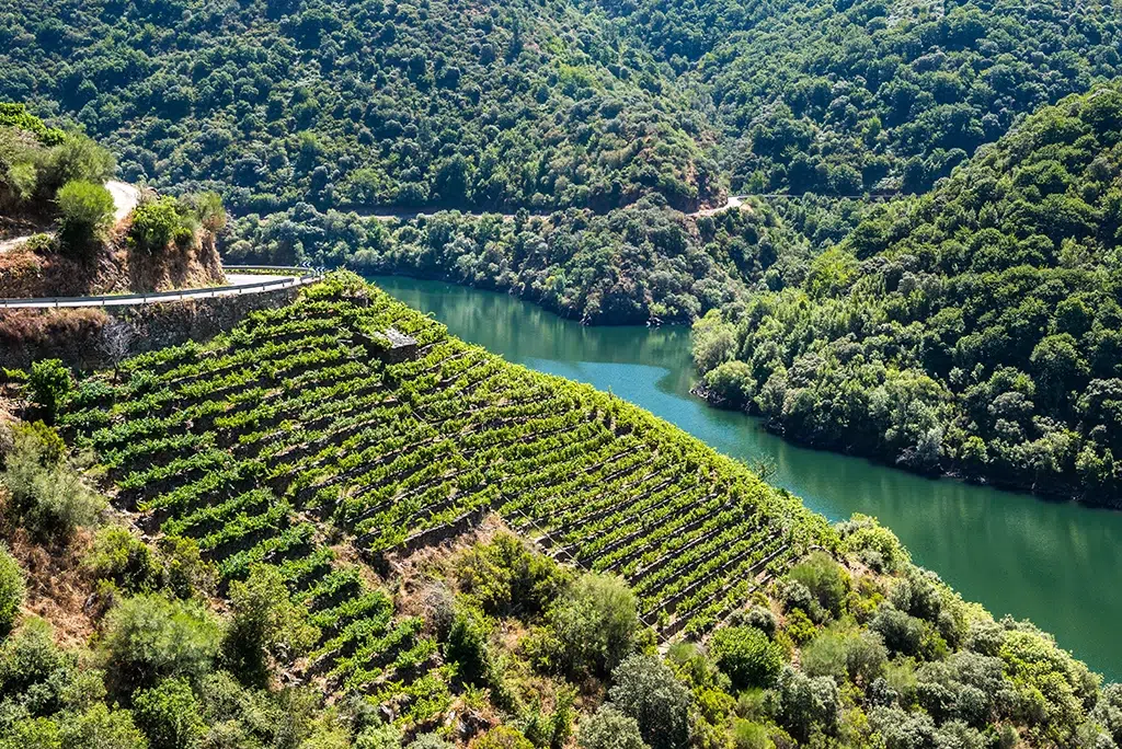 Ribeira Sacra from an excursion near Santiago de Compostela